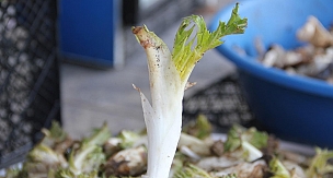 Tezgâhlarda bahar lezzetleri bereketi yaşanıyor