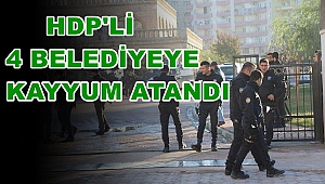 HDP'li 4 Belediyeye kayyum atandı 