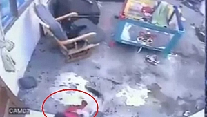 Kedi, bebeğin hayatını kurtardı (VİDEO HABER)