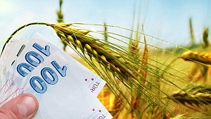 Bakan Pakdemirli: 2 milyar 674 milyon TL destek hesaplara yatıyor 