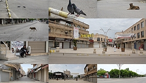 Sokağa çıkma yasağında Midyat en sessiz günlerini yaşıyor