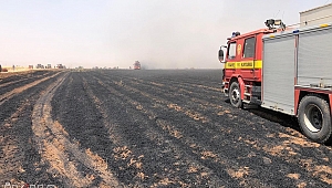 Buğday tarlasında çıkan yangında 200 dönüm buğday kül oldu 