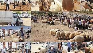 Coronavirus hayvan pazarlarını da vurdu, kurbanlıklar elde kaldı 