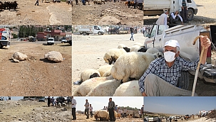 Midyatlı hayvan satıcıları pazar yeri taleplerini yineledi 