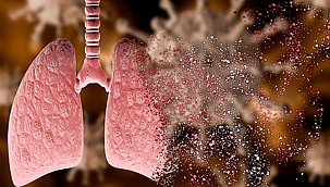 Pandemi ile mücadelede akciğer sağlığına dikkat edilmeli!