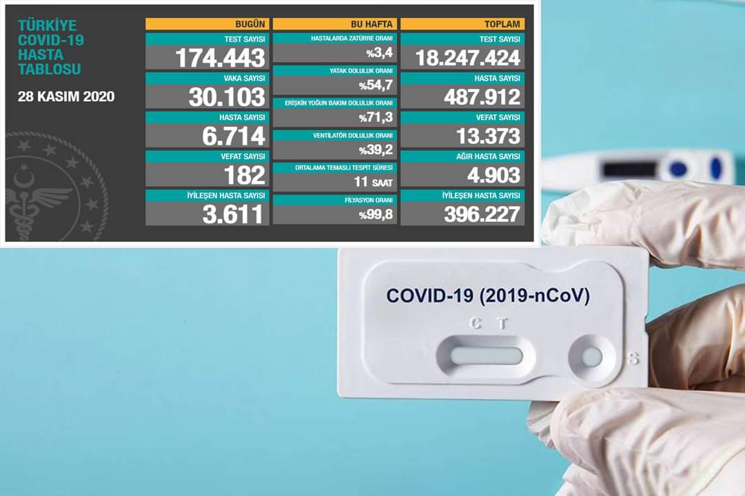 Türkiye'de son 24 saatte 30 bin 103 Covid-19 vakası tespit edildi