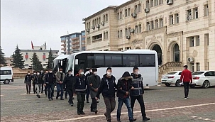 Midyat'ta uyuşturucu operasyonu : 10 kişi tutuklandı 