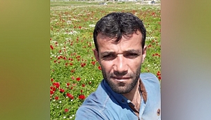 Midyat'ta cinayet: Başından silahla vurulmuş halde bulundu 