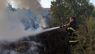 Ormanlık alanda çıkan yangın kısa sürede söndürüldü