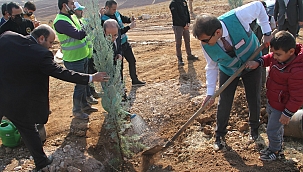 Midyat'ta Milli Ağaçlandırma Günü etkinliği düzenlendi