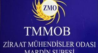 Zirai ilaçlama nasıl olmalı? 