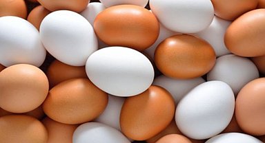 Beyaz ve kahverengi yumurtalar arasında renk dışında fark var mı?