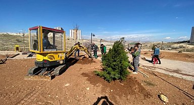 Artuklu Belediyesi kenti yeşillendiriyor