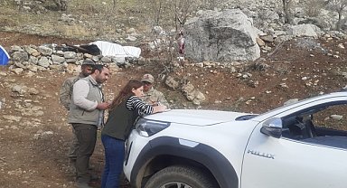 Şırnak'ta yaban keçisi avına 260 bin 900 lira ceza