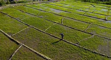 ZMO Batman Şube Başkanı Doğan: Bölgede kuraklık riski kalmadı