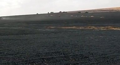 Diyarbakır'da 500 dönümlük buğday kül oldu