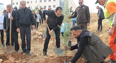 Midyat'ta fidan dikimi yapılarak ağaçlandırmanın önemine dikkat çekildi 