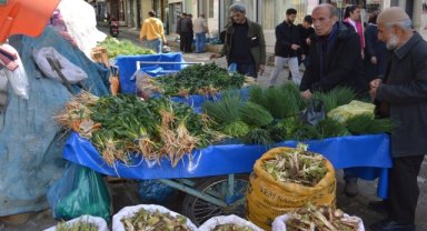 Baharın şifası soryaz, kenger ve sirik tezgahlarda 