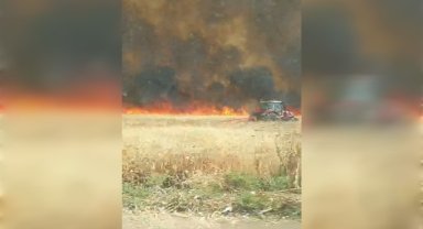 Mardin'de yaklaşık bin dönüm ekili buğday yandı