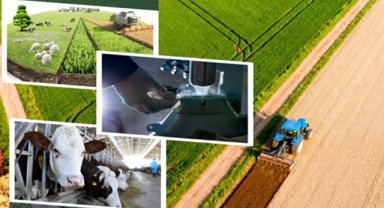 Tarımsal destek ödemeleri hesaplara yatıyor