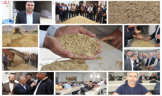 Mardin'de hasadı yapılan yılın ilk arpası satışa sunuldu