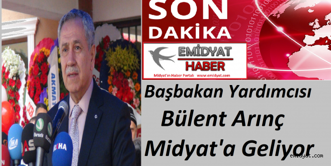 Başbakan Yardımcısı Arınç Bugün Midyata geliyor