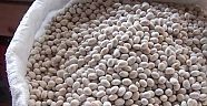 Hükümet `Kuru Fasulye` İçin Harekete Geçti