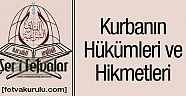 Kurbanın Hükümleri ve Hikmetleri